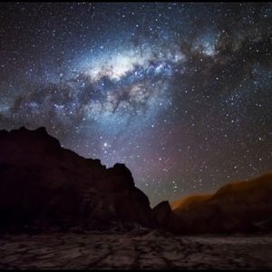 Meet your Posher, Lexi